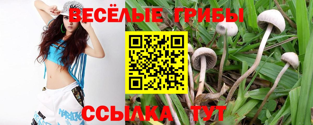 Псилоцибиновые грибы прущие грибы Ирбит